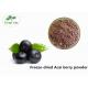 Powerful Antioxidant  Acai Berry Freeze Dried Fruit Powder No Additive