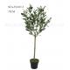 75CM Artificial Olive Tree In Plastic Pot , Faux Olive Plant For Decoration And Design