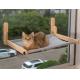 Cat Window Amazon Cat Hammock-Seat Furniture-Bad