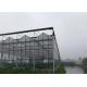 Customized Agricultural Glass Greenhouse 3m - 6m Side Height Stable Structure