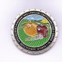 3D Logo Silver Metal Stamping Soft Enamel Coin , Custom Military Coins