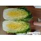 Healthy All Season Cabbage , Chinese Green Cabbage No Putrefaction For Salad Factory