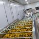 500-50000KG/H Capacity Mango Pulp Production Line
