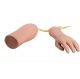 PVC Hand Elbow Nursing Manikin For Adult Training