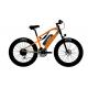 Full Suspension Fat Tire E Bike Electric Bicycle For Seniors 1000w 48v 17Ah