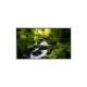 LS043K1SX02 4.3 inch 720*1280 LCD Screen Display for Mobile Phone