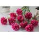 ODM Fake Holiday Flowers Artificial Carnation Bouquet
