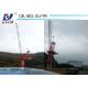 QTD5523 Lifting Boom Crane 55 meters Boom Length 12 ton Specifications Tower Crane in Korea