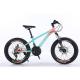 20 21s Kids Bike Children's Bike with Customized Logo and Aluminum Alloy Rim Material