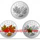 Silver Canadian Maple Leaf Security Features