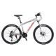 Alloy Frame Inner Cable Custom 26/27.5/29 Inch Bicicleta Mountain Bike 30 Speed Gears