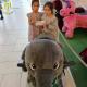 Hansel amusement park electric battery operated stuffed animal kiddie ride