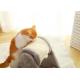 Interactive Corrugated Cat Scratch Board Burlywood Modern Pet Furniture Cat Scratching Post