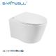 Chaozhou Popular Styles Concealed Cistern Antibacterial Rimless Wall Flush Toilet