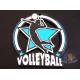 Bespoke Die Cast 10k Finisher Metal Volleyball Glow In The Dark Medals With Soft Enamel