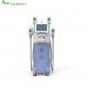 CE certificate  4 handles Cryolipolysis Fat Freeze Slimming Machine with beauty clinic