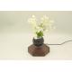 Levitating Floating Flower Pot, Magnetic Levitating Air Bonsai, Home office Desktop Decor Ornament