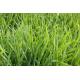 Bio Oat Grass Powder Dehydrated Oat Grass Powder Green ORGANIC CERTIFIED