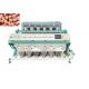 6 Chutes 384 Channels Peanut Color Sorter Machine For Cashew Nut Sorting