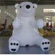 Very cute inflatable polar bear, great for advertising