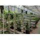 Glass Cover Hydroponic Greenhouse Simple Structure With Large Inner Room