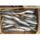 Whole Round Pacific 4Pcs 6Pcs Per Kg Fresh Frozen Mackerel For Market