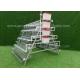 3.0mm Q235 Wire Poultry Chicken Cages Type A For Breeding Hens Farm