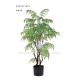 Premium Artificial Fern Tree , Artificial Maidenhair Fern Handcrafted Asethetic
