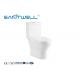SW-2003A Ceramic Floor Standing Toilet Rimless Washdown Dual Flush System