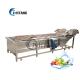 Commercial Water Bubble Fruit And Vegetable Processing Line 300kg/h