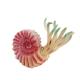 Prehistoric Ancient Animal Model Figures Nautilus Figurines Party Favors Decoration Collection Toys For Boys Girls Kid