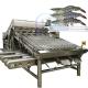 Automatic shrimp grader sorter prawn sorting grading machine fresh prawn washing rolling sorting machine