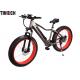 Lithium Battery Electric Powered Bicycles TM-KV-2670 With Big Fat Tire 26 Inch