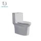 Siphonic Flushing S Trap One Piece Toilet Bowl OEM/DOM Accepted