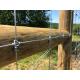 Deer Fixed Knot Fence 1.2m Hinge Joint Cattle Wire Mesh Field Fence