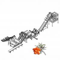 20TPD Sea Buckthorn Processing Fruit Juice Production Line