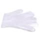 Outer Feature Weight Material Multi Clean Food Grade Disposable Gloves