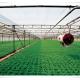 Hydroponic NFT System for Greenhouse Optional Irrigation Solution Included