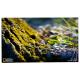 LM238WF5-SSG4 23.8 LCD Touch Screen Display