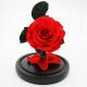 100% Real Preserved Forever Rose, Eternal Rose, Galaxy Rose, Beauty and The Beast Rose in Glass - Lasts Up to 5 Years