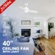 AC Motor Modern Remote LED Ceiling Fan 220V 50HZ With MDF Blades