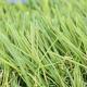High Water Permeability 26.343 Billion Value Fake Grass Landscape