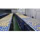 Independent Controlled FDA SUS304 Food Industry Conveyors