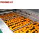 KAAE Automatic Smart Fruit And Vegetables Grading Weight Sorting Machine