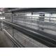 160 Birds Layer Chicken Cage Automatic Controlling System Q235 Steel Wire Material