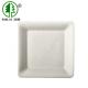 White Biodegradable Square Plates 155x155mm Sugarcane Bagasse Birthday Party Disposable