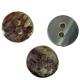 Sewing And DIY Material Natural Shell Buttons 16L Two Holes ODM
