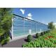 Single Layer Glass Venlo Type Greenhouse Equipped With Hydroponic Technology