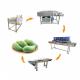 Farm Lemon Fruit Washing Waxing Drying Sorting Machine Production Line