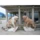 Pink marble lions sculpture with base